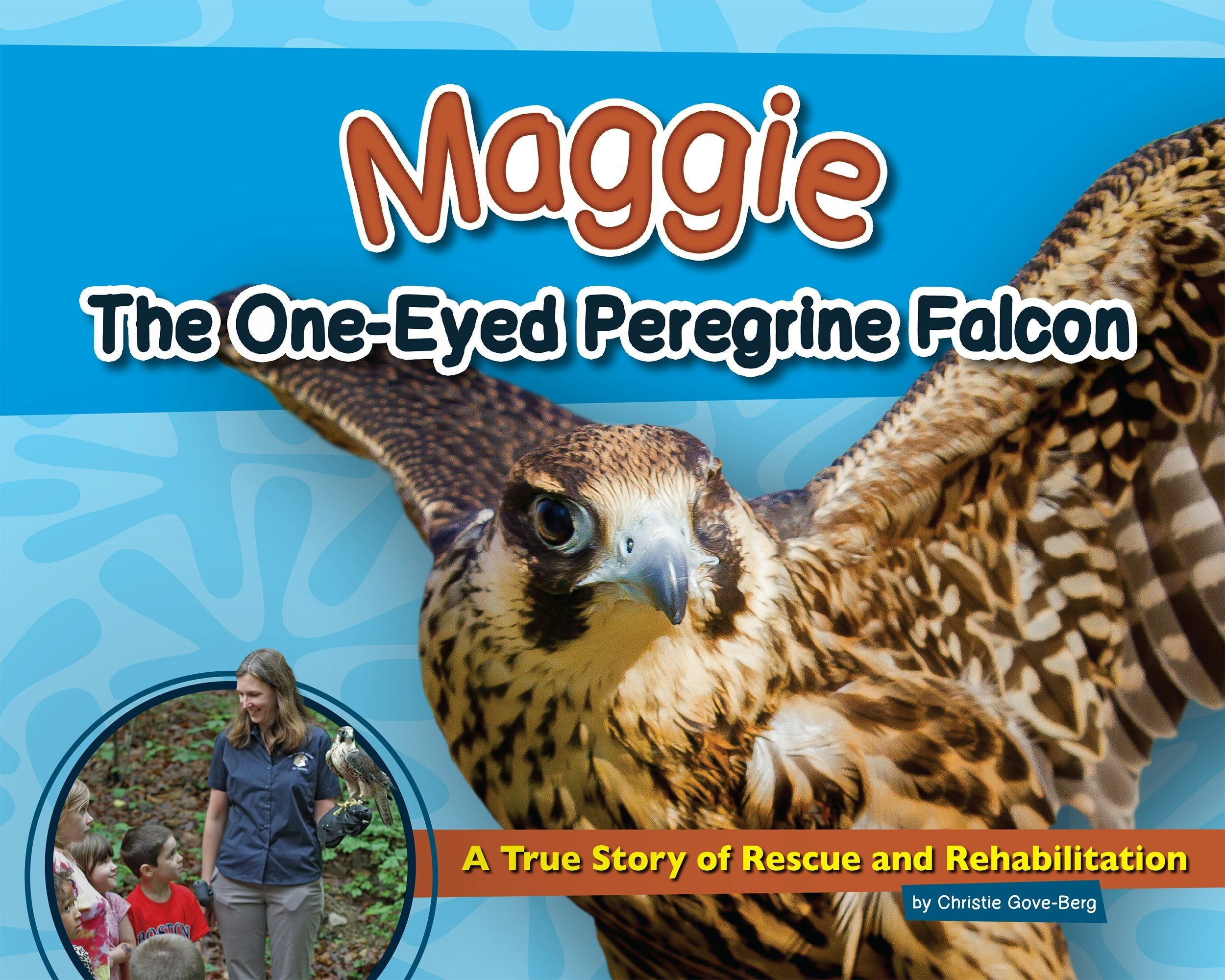 Book cover image for Maggie the One-Eyed Peregrine Falcon ISBN: 9781591936305